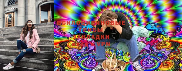 мет Вяземский