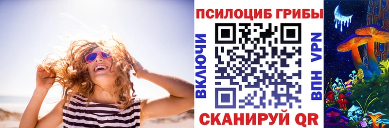 Псилоцибиновые грибы прущие грибы  цены наркотик  Зеленоградск 